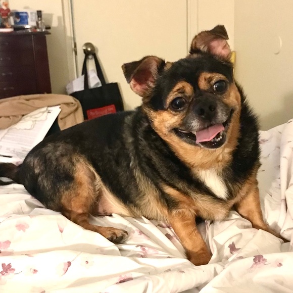 Meet your Posher, Lisa - Picture 1 of 1